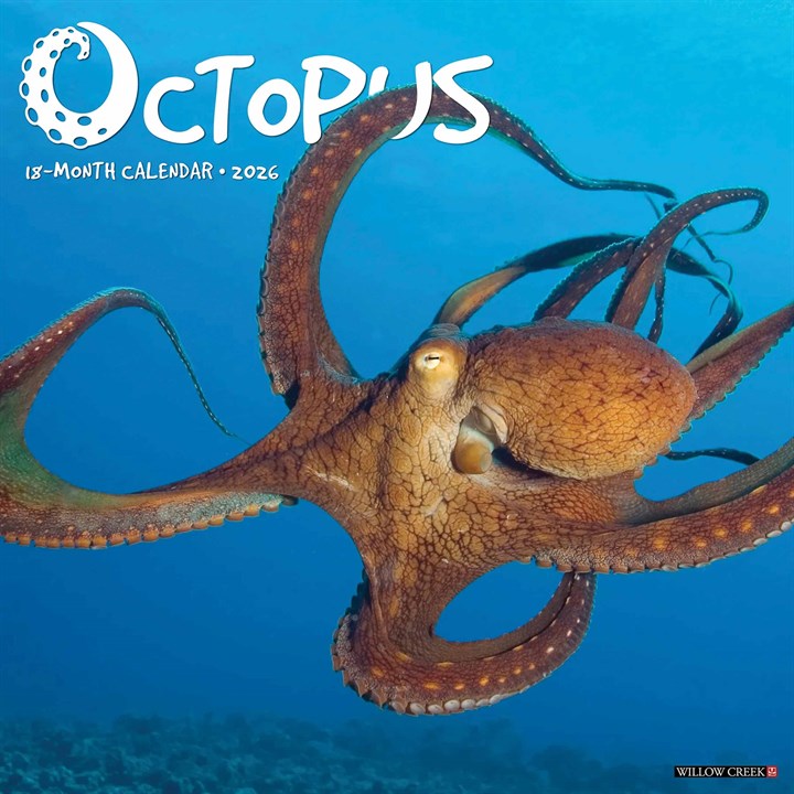 Octopus Calendar 2026