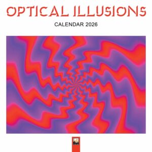 Optical Illusions Calendar 2026