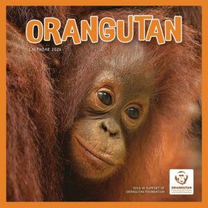 Orangutan Calendar 2026