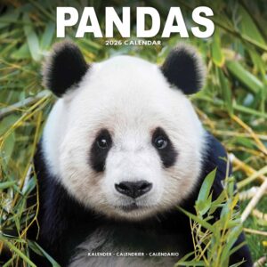 Pandas Calendar 2026