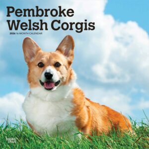 Pembroke Welsh Corgis Calendar 2026