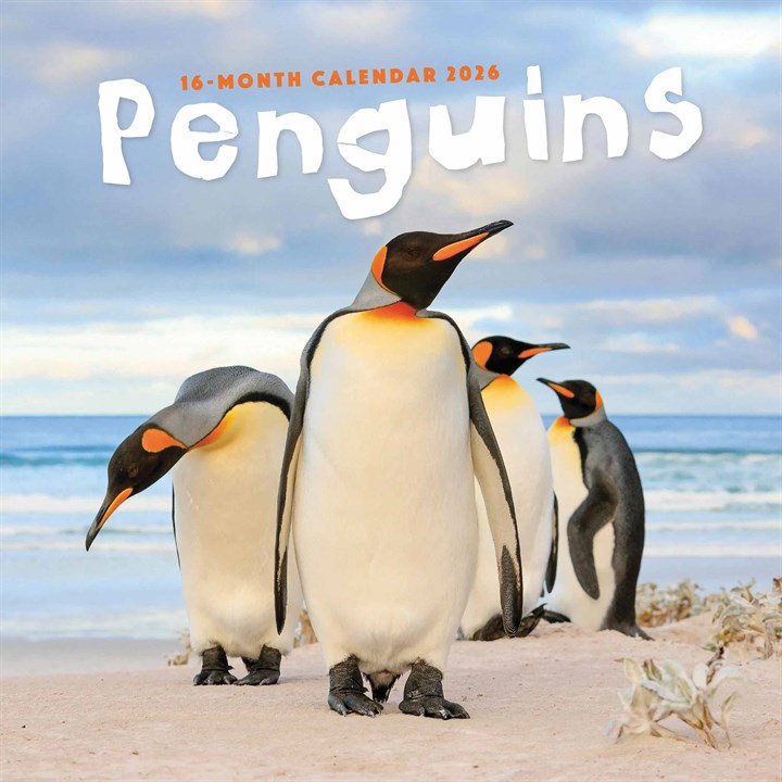 Penguins Calendar 2026