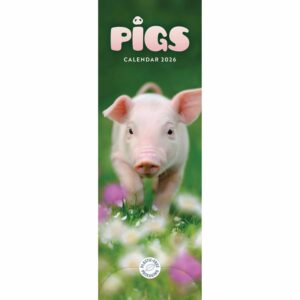 Pigs Slim Calendar 2026