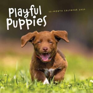 Playful Puppies Calendar 2026