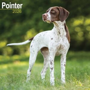 Pointer Calendar 2026