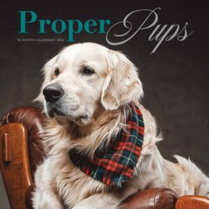 Proper Pups Calendar 2026