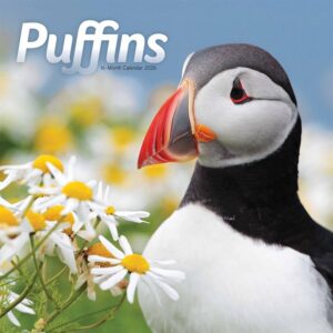 Puffins Calendar 2026