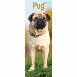 Pug Slim Calendar 2026