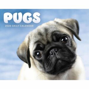 Pugs Desk Calendar 2026