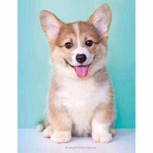 Puppies A5 Diary 2026