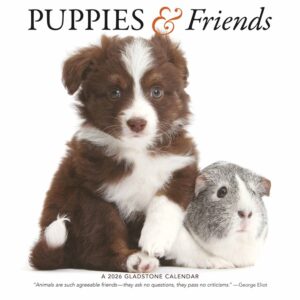 Puppies & Friends Calendar 2026