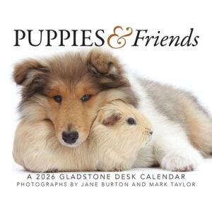 Puppies & Friends Desk Calendar 2026