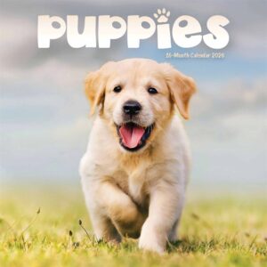 Puppies Mini Calendar 2026