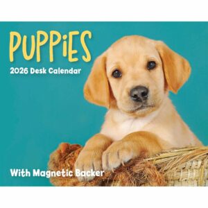 Puppies Mini Desk Calendar 2026