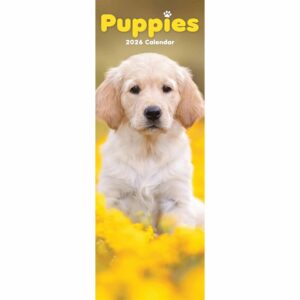 Puppies Slim Calendar 2026