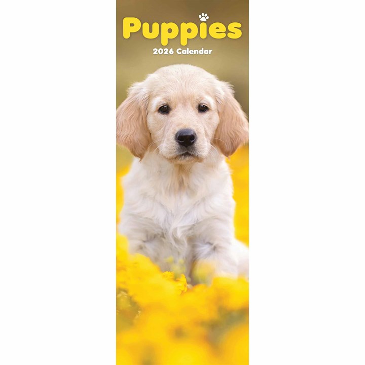 Puppies Slim Calendar 2026