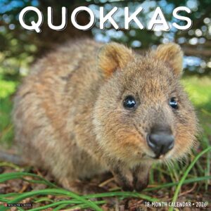 Quokkas Calendar 2026