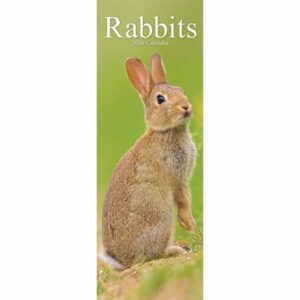 Rabbits Slim Calendar 2026