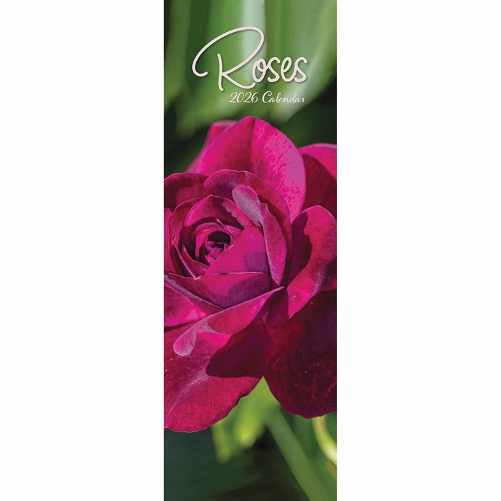 Roses Slim Calendar 2026