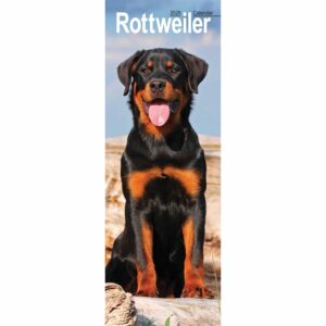Rottweiler Slim Calendar 2026
