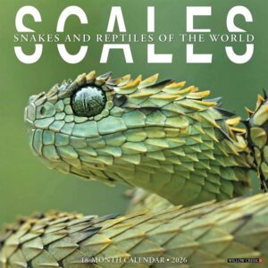 Scales