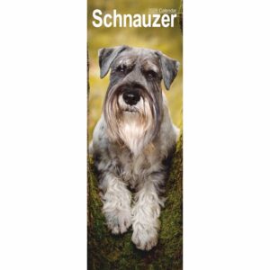 Schnauzer Slim Calendar 2026