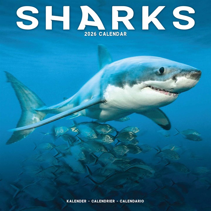 Sharks Calendar 2026