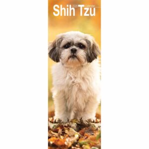 Shih Tzu Slim Calendar 2026