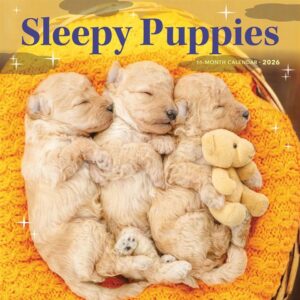 Sleepy Puppies Calendar 2026