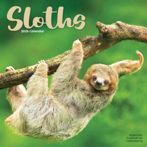 Sloths Calendar 2026