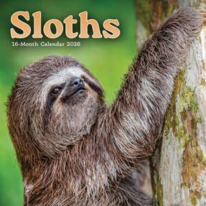 Sloths Mini Calendar 2026