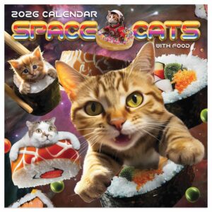 Space Cats Mini Calendar 2026