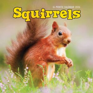 Squirrels Calendar 2026