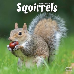Squirrels Calendar 2026