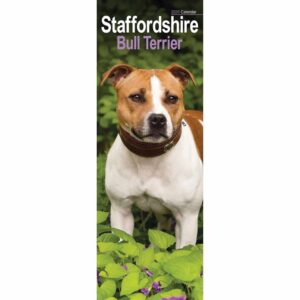 Staffordshire Bull Terrier Slim Calendar 2026