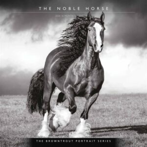 The Noble Horse