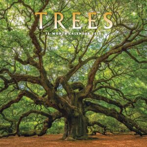 Trees Calendar 2026