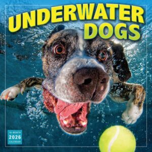 Underwater Dogs Calendar 2026