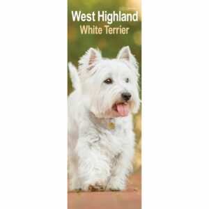 West Highland White Terrier Slim Calendar 2026