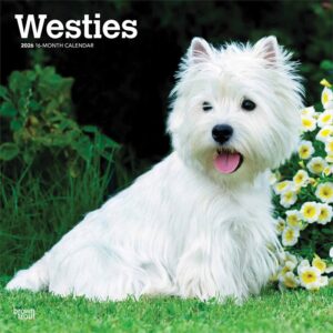 Westies Calendar 2026