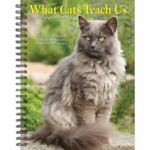What Cats Teach Us A5 Diary 2026