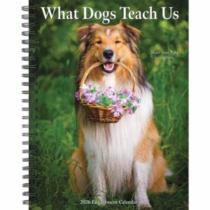 What Dogs Teach Us A5 Diary 2026