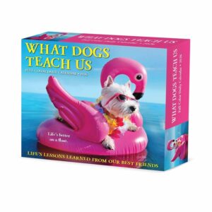 What Dogs Teach Us Desk Calendar 2026