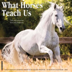 What Horses Teach Us Calendar 2026