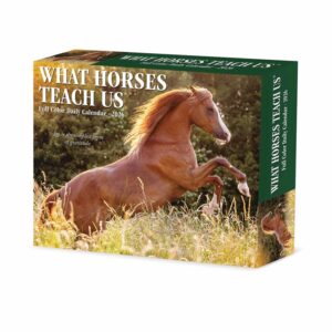 What Horses Teach Us Desk Calendar 2026