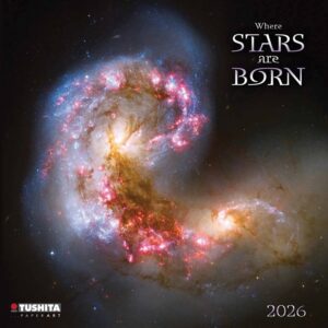 Where Stars Are Born Calendar 2026