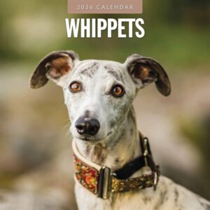 Whippets Calendar 2026