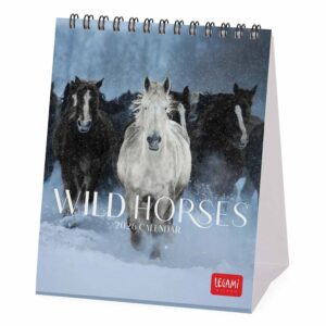 Wild Horses Easel Desk Calendar 2026