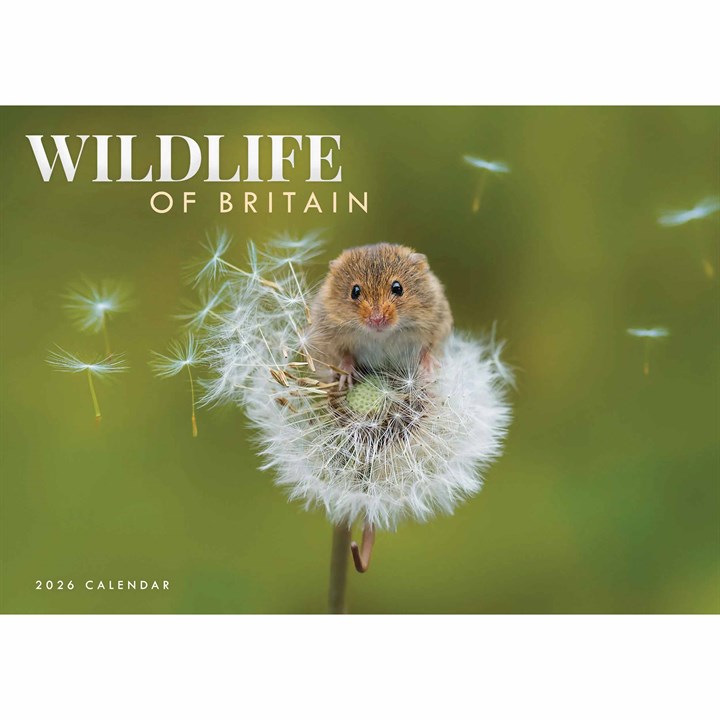 Wildlife Of Britain A4 Calendar 2026