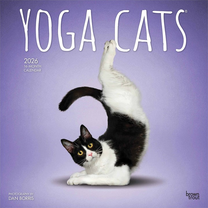 Yoga Cats Calendar 2026